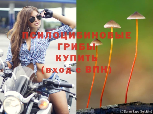 a pvp Верхний Тагил