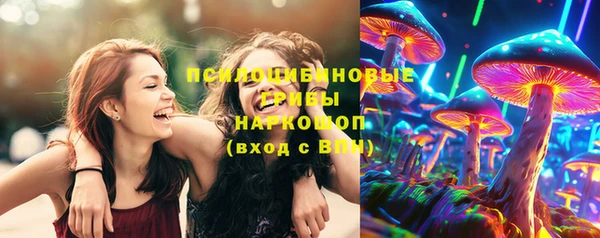 СК Володарск