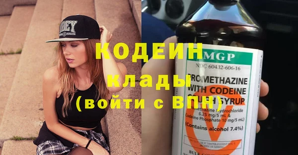 хмурый Верея