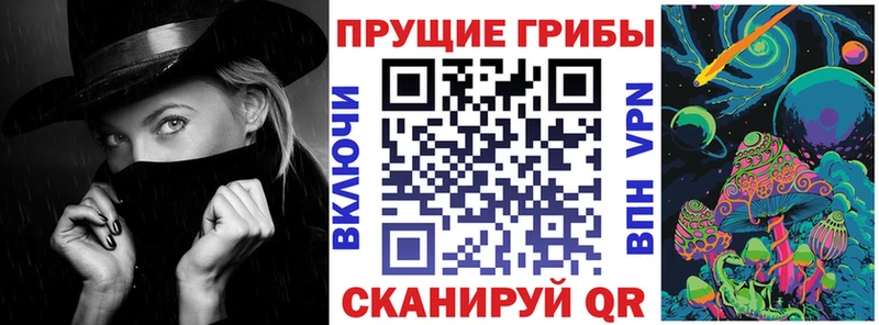 купить наркотики сайты  Керчь  Галлюциногенные грибы Cubensis 
